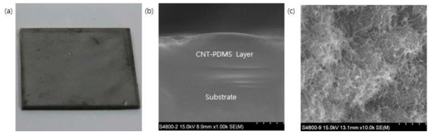(a) Spin coating 공정으로 제작한 CNT-PDMS layer on substrate (b) SEM으로 촬영한 소자의 side view (c) CNT를 확대한 모습