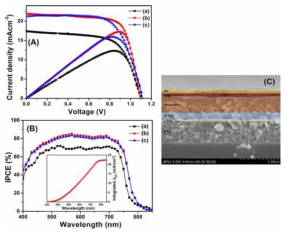 (A) J-V curves and (B) IPCE plots of fabricated PSCs with RSe-CF (a),RSe-TPA (b), and RSe-R (c) HTMs. (C) Cross-sectional view of the PSC device and the inset shows the integrated JSC plot from IPCE (B) of the fabricated PSCs with the RSe-TPA HTM