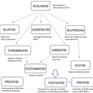 H-matrix 기반의 BLUPF90 프로그램 구성
