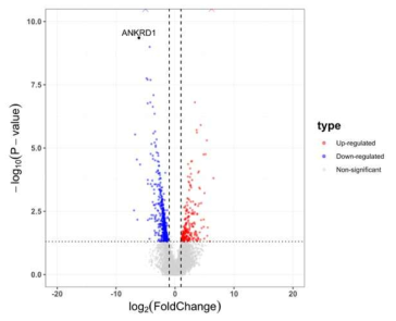 Healthy muscle과 degenerative muscle의 전사체들의 변화와 ANKRD1의 변화 정도를 표현한 volcano plot