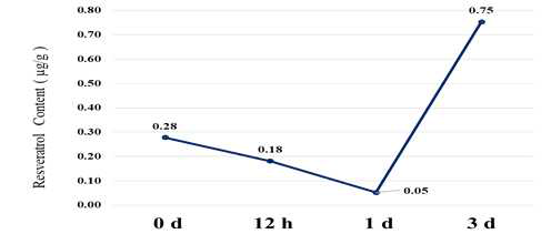 발아 초기 일수에 따른 trans-Resveratrol 함량