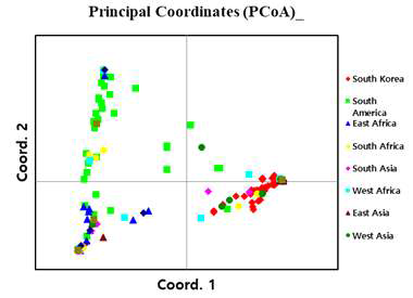 PCoA분석을 통한 150점 유전자원 선발
