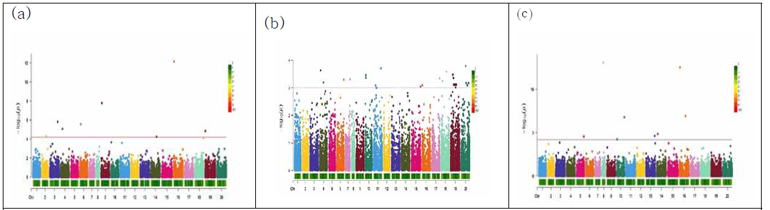 FarmCPU 모델 기반 GWAS 결과를 나타내는 Manhattan plot (a) 2019, (b)2020, ⒞ 2년 평균 데이터