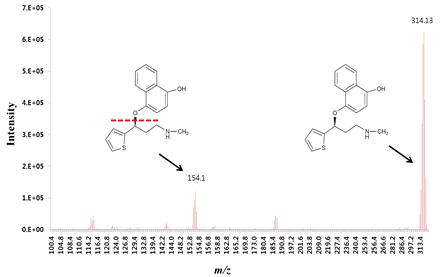 Duloxetine의 Q1- Q3 transition