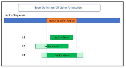 Indica Gene Annotation에 대한 type 정의