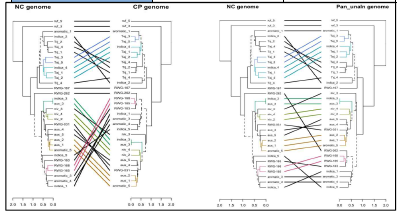 서로 다른 reference genome의 phylogenetic topology 비교