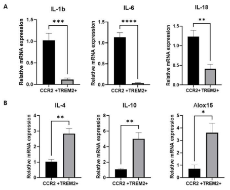 TREM2+ cells 의 inflammatory markers의 발현 양상