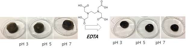 카테콜-키토산 수화겔의 EDTA 처리 후 금속이온 추출에 의한 수화겔의 수축