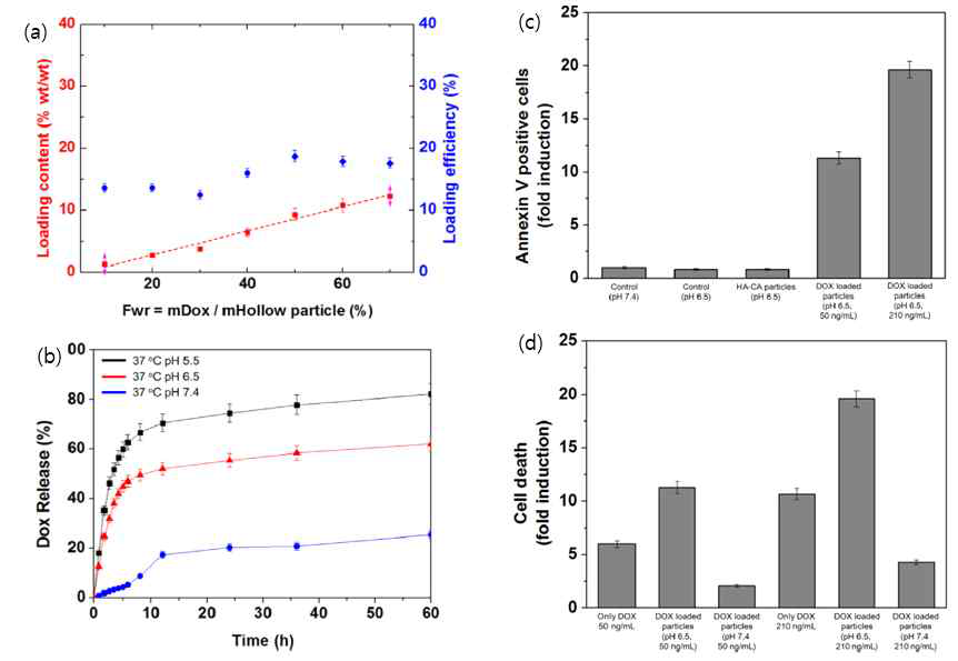 키토산-히알루론산 할로의 입자의 (a), (b) DOX　담지 방출능력 및 (c ), (d) in-vitro cell death counts