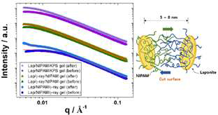 Cay/NIPAM 수화겔의 30% 및 100 % 팽윤 상태에서의 SAXS 결과