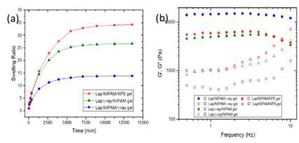 Lap/NIPAM/γ-ray, Lap/γ-ray/NIPAM 및 Lap/NIPAM/KPS겔의 (a)swelling ratios, (b)점탄성측정 결과