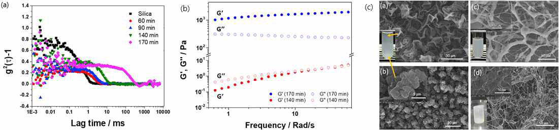 입자 표면에서 합성되는 수화겔의 겔화 과정 (a) 광산란 결과, (b) 유변학적 특성, (c) 표면구조 변화
