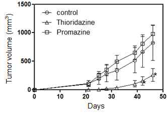 Thioridazine 전처리에 의한 암줄기세포의 Tumorigenicity 감소