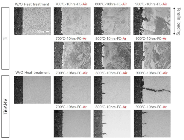 티타늄-열처리 시험편의 인장시험 파단면 분석 결과