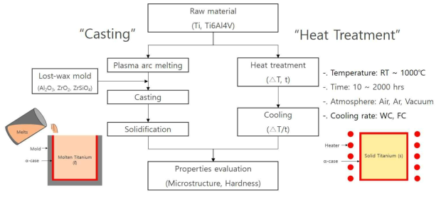 티타늄 주조 및 열처리 공정에 따른 α-case 반응성 평가 모식도