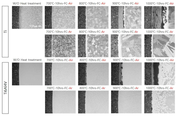 티타늄-열처리 시험편의 온도, 분위기에 따른 미세조직 변화