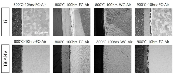 티타늄-열처리 시험편의 온도, 시간, 냉각속도에 따른 미세조직 변화 (FC: Furnace cooling,