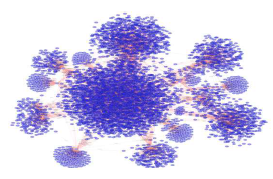 지역을 가중한 암 환자의 네트워크