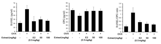 OVX 마우스 모델의 뇌 신경전달계 파골세포 분화 관련 마커에 대한 불레기말 추출물의 효과