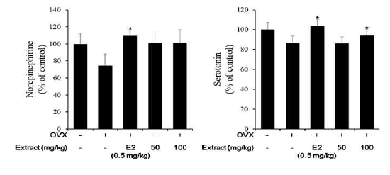 OVX 마우스의 뇌 신경전달물질에 대한 불레기말 추출물의 효과