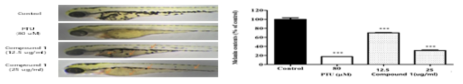 Effect of compound 1 on melanogenesis in zebrafish