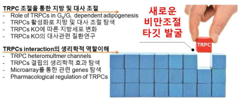 연구의 전체 개요