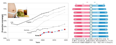 성인의 연도별 비만 유병률 및 그 추이(2)