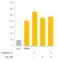 effects of pharmacological regulation of TRPC4 in Adipogenesis