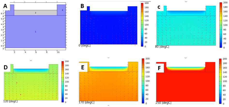 COMSOL 시뮬레이션을 이용한 열에너지 분포 시뮬레이션 (A) 디자인 된 샘플, (B-F) 시간에 따른 열분포의 변화 시뮬레이션 결과