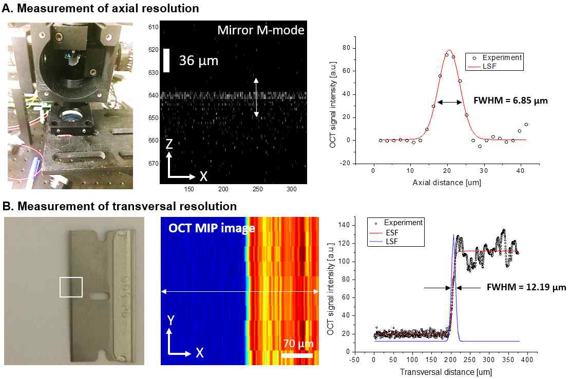 (A) 거울을 이용하여 측정된 축방향 해상도, (B) 면도날을 이용하여 측정된 측방향 해상도