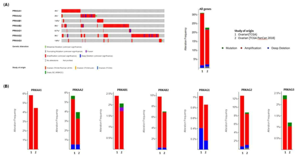 Analysis of genetic variations in AMPK subunit genes in ovarian cancer (cBioPortal)