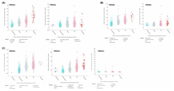 Analysis of expression levels of AMPK subunit genes in ovarian cancer (cBioPortal)