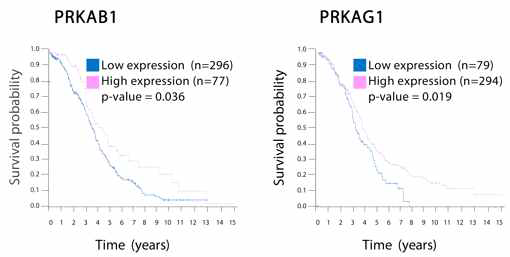 Analysis of genetic variations in adenosine related genes in ovarian cancer (cBioPortal)