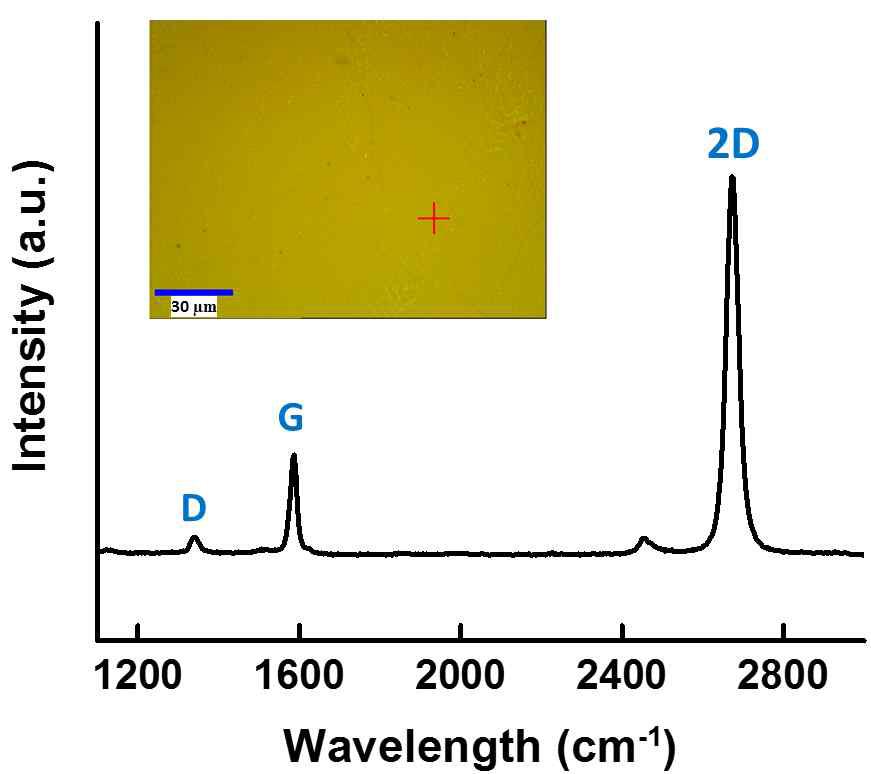 SiO2/Si 기판 위에 전사된 그래핀의 라만 스펙트럼. 삽입도는 광학 현미경 사진과 라만 스펙트럼 분석 위치