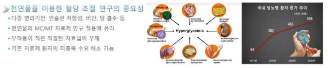 혈당 조절 연구의 중요성