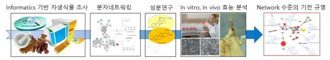 연구과제 개요도