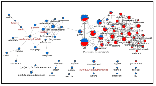인슐린 저항 및 분비에 관련된 herbal compound들의 관계. 노드들 간의 연결은 성분들 간에 인슐린 관련 target이 유사함을 나타내며, 굵기가 굵어질수록 유사도가 높음(Jaccard score, cut-off 0.4). 각 노드의 크기는 해당 compound가 인슐린 분비 혹은 저항에 얼마나 높은 확률로 연관이 있을지를 나타내며, 노드 안의 pie chart는 해당 compound가 인슐린 분비에 작용하는지, 혹은 저항에 작용하는지를 나타냄(파란색은 인슐린 저항, 빨간색은 인슐린 분비). Flavonoids 계열의 compound는 이름을 빨간색으로 표시하였음