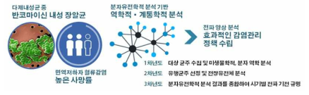 연차별 연구개발과제의 수행 내용