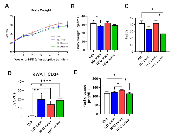 CD8+ memory subset에 의한 비만 기억 매개