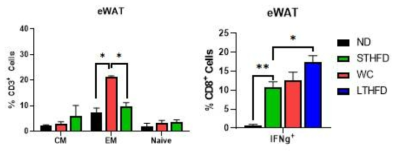 비만경험에 의한 CD8+ T세포의 변화