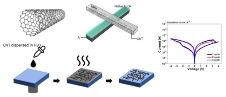 CNT를 이용한 Disorderly interconnected RRAM 소자의 제작과 특성 분석