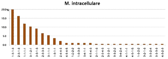 M. Intracellulare의 MLST 분포 양상