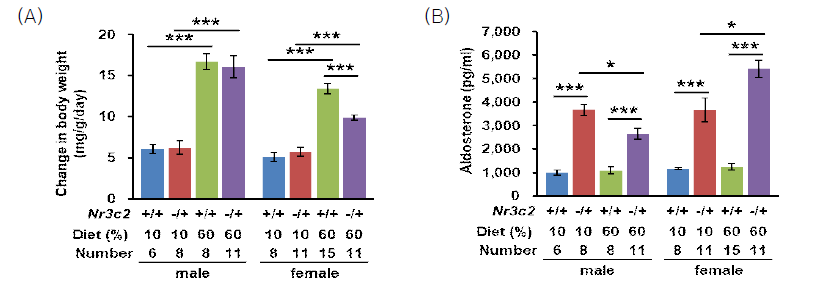 genotype과 고지방식 여부에 따른 체중 변화 비교(A)와 혈중 알도스테론 농도 비교(B)