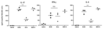 EAE마우스 모델의 splenocyte에서 ELISPOT을 통해 IL-17, IFN-γ, IL-6 의 차이 분석
