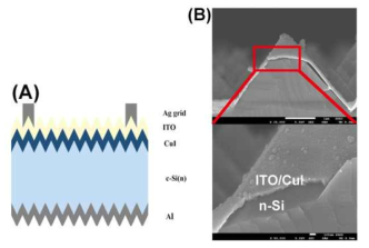 (A) HNT 태양 전지의 소자 구조 및 (B) FE-SEM 단면 이미지