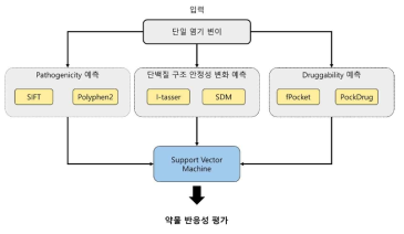 변이 기반 약물 반응성 평가 모델