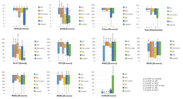 AK와 NMSCs에서의 표지 인자들의 면역조직화학염색 결과에 따른 Box-plot diagram