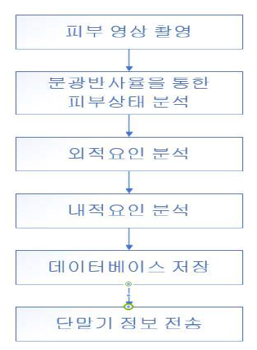 피부 상태 분석 블록도