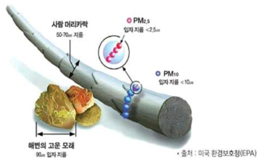 미세먼지 크기 비교