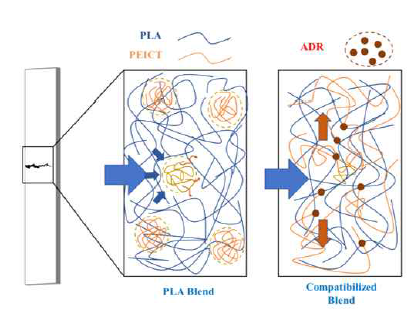 PLA/PEICT blends에서 ADR의 첨가로 인한 충격강도 향상 mechanism